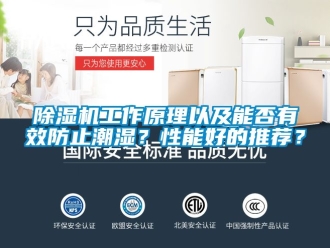 行業(yè)新聞除濕機工作原理以及能否有效防止潮濕？性能好的推薦？
