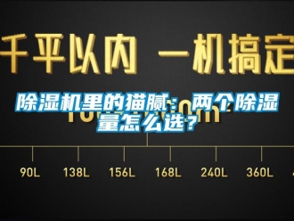 常見(jiàn)問(wèn)題除濕機(jī)里的貓膩：兩個(gè)除濕量怎么選？