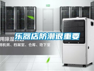 行業(yè)新聞樂(lè)器店防潮很重要