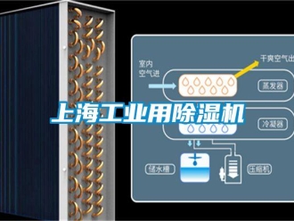 常見問題上海工業(yè)用除濕機