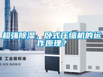 企業(yè)新聞超強(qiáng)除濕，臥式壓縮機(jī)的運(yùn)作原理？