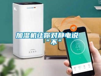 行業(yè)新聞加濕機讓你對靜電說“不”
