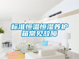 常見問題標(biāo)準(zhǔn)恒溫恒濕養(yǎng)護(hù)箱常見故障