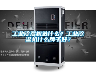 常見問(wèn)題工業(yè)除濕機(jī)選什么？工業(yè)除濕機(jī)什么牌子好？
