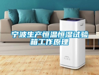 知識(shí)百科寧波生產(chǎn)恒溫恒濕試驗(yàn)箱工作原理