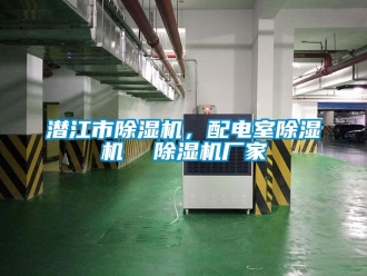 企業(yè)新聞潛江市除濕機(jī)，配電室除濕機(jī)  除濕機(jī)廠家