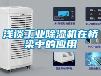 常見問題淺談工業(yè)除濕機(jī)在橋梁中的應(yīng)用
