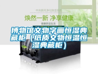 知識百科博物館文物字畫恒濕典藏柜（紙質(zhì)文物恒溫恒濕典藏柜）