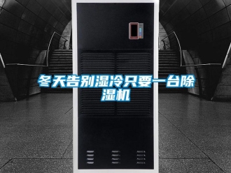 企業(yè)新聞冬天告別濕冷只要一臺除濕機(jī)