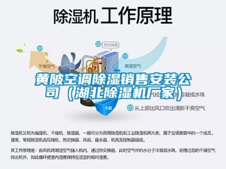 企業(yè)新聞黃陂空調(diào)除濕銷售安裝公司（湖北除濕機(jī)廠家）
