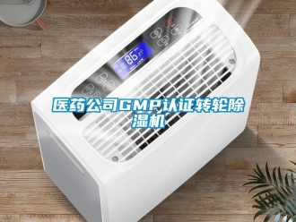 常見問題醫(yī)藥公司GMP認(rèn)證轉(zhuǎn)輪除濕機(jī)