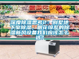 企業(yè)新聞深度除濕思考2：別墅地下室除濕，眼花繚亂的除濕新風設(shè)備我們應(yīng)該怎么選？