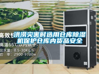 行業(yè)新聞洪澇災害時選用倉庫除濕機保護倉庫內(nèi)貨品安全