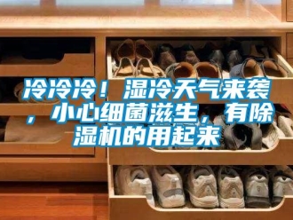 行業(yè)新聞冷冷冷！濕冷天氣來襲，小心細菌滋生，有除濕機的用起來