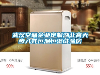 知識(shí)百科武漢空調(diào)企業(yè)定制湖北高天步入式恒溫恒濕試驗(yàn)房