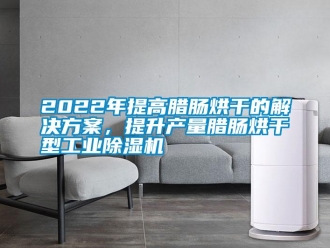 常見問題2022年提高臘腸烘干的解決方案，提升產(chǎn)量臘腸烘干型工業(yè)除濕機(jī)