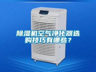 行業(yè)新聞除濕機(jī)空氣凈化器選購技巧有哪些？