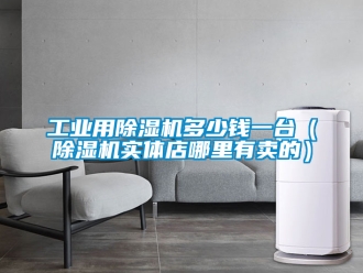 常見問題工業(yè)用除濕機(jī)多少錢一臺（除濕機(jī)實(shí)體店哪里有賣的）