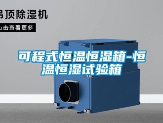 知識(shí)百科可程式恒溫恒濕箱-恒溫恒濕試驗(yàn)箱