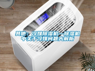 行業(yè)新聞其他：冷媒除濕機(jī)—除濕機(jī)中關(guān)于冷媒問(wèn)題大解析