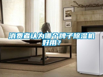 行業(yè)新聞消費者認為哪個牌子除濕機好用？