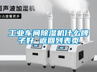 常見問題工業(yè)車間除濕機(jī)什么牌子好 返回列表頁