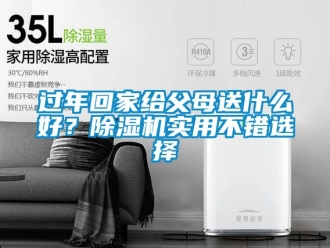 行業(yè)新聞過(guò)年回家給父母送什么好？除濕機(jī)實(shí)用不錯(cuò)選擇