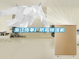 知識(shí)百科浙江皮革廠防霉除濕機(jī)