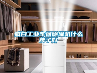 常見問題威白工業(yè)車間除濕機什么牌子好