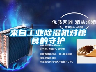 行業(yè)新聞來自工業(yè)除濕機對糧食的守護