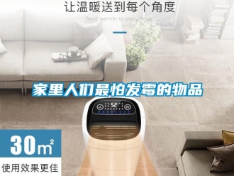 行業(yè)新聞家里人們最怕發(fā)霉的物品