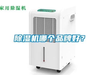 企業(yè)新聞除濕機(jī)哪個(gè)品牌好？