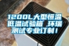 1200L大型恒溫低溫試驗(yàn)箱 環(huán)瑞測試專業(yè)訂制！
