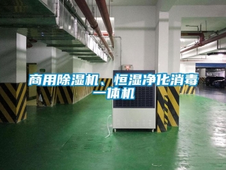 常見問題商用除濕機、恒濕凈化消毒一體機