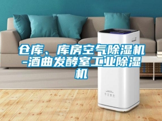 常見問題倉庫、庫房空氣除濕機(jī)-酒曲發(fā)酵室工業(yè)除濕機(jī)
