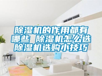 企業(yè)新聞除濕機的作用都有哪些 除濕機怎么選除濕機選購小技巧