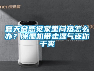 行業(yè)新聞夏天總感覺家里悶熱怎么辦？除濕機(jī)帶走濕氣還你干爽