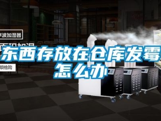 常見問題東西存放在倉庫發(fā)霉怎么辦