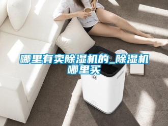 行業(yè)新聞哪里有賣除濕機(jī)的_除濕機(jī)哪里買