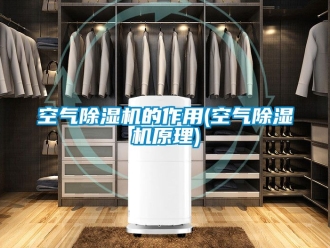 行業(yè)新聞空氣除濕機的作用(空氣除濕機原理)