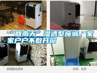 常見問題“回南天”濕透整座城，家家戶戶不敢開窗