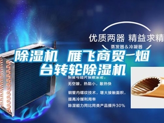 常見問題除濕機 雁飛商貿(mào) 煙臺轉(zhuǎn)輪除濕機