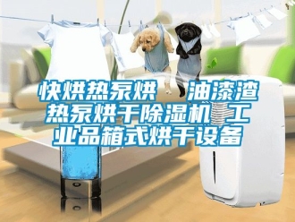 常見(jiàn)問(wèn)題快烘熱泵烘  油漆渣熱泵烘干除濕機(jī) 工業(yè)品箱式烘干設(shè)備