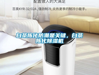 常見問題白茶陳化防潮是關鍵，白茶陳化除濕機