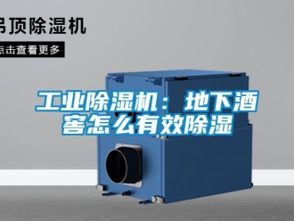 常見問題工業(yè)除濕機(jī)：地下酒窖怎么有效除濕