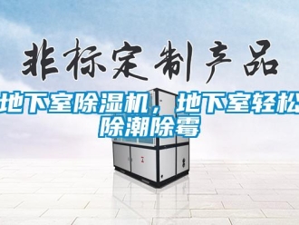 行業(yè)新聞地下室除濕機，地下室輕松除潮除霉