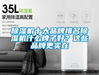 企業(yè)新聞除濕機(jī)十大品牌排名除濕機(jī)什么牌子好？這些品牌更實(shí)在