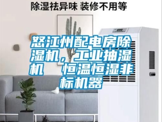 常見問題怒江州配電房除濕機(jī)，工業(yè)抽濕機(jī)  恒溫恒濕非標(biāo)機(jī)器