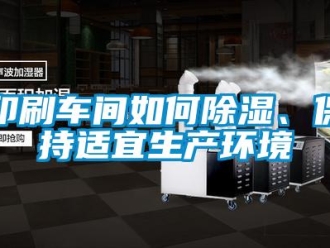 常見問題印刷車間如何除濕、保持適宜生產環(huán)境