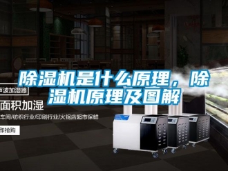 行業(yè)新聞除濕機(jī)是什么原理，除濕機(jī)原理及圖解